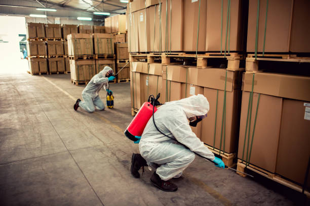 Best Flea Control Services  in Perry, KS