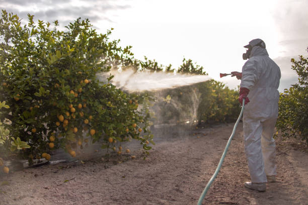 Best Wasp Removal Services  in Perry, KS