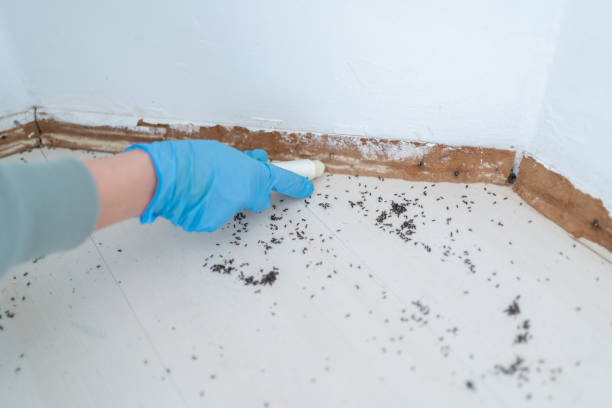 Best Affordable Pest Control Services  in Perry, KS