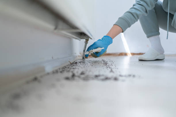 Best Pest Inspection Near Me  in Perry, KS