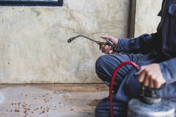 Best Pest Prevention Services  in Perry, KS